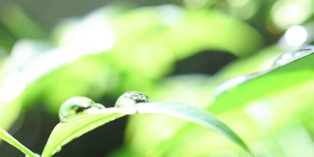 019744f45bd8af776c788f2d2f1ac0b8_s